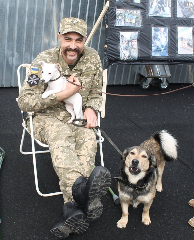 Собаки, які були в зоні АТО, стали почесними учасниками виставки у Львові — Високий Замок