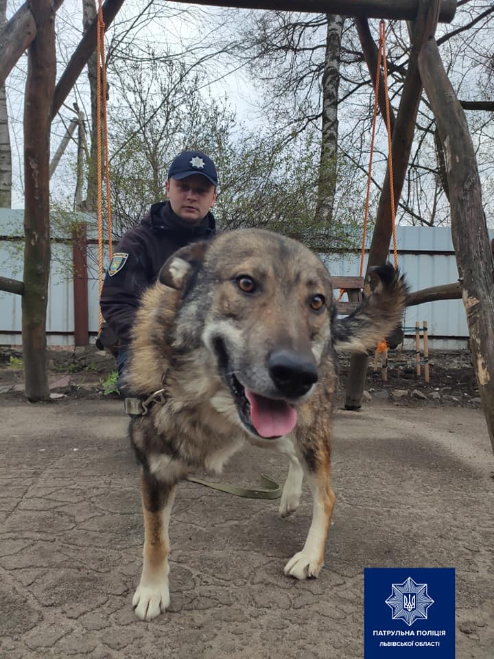 Фотографія патрульного Юрія Лещака із собакою Гордоном