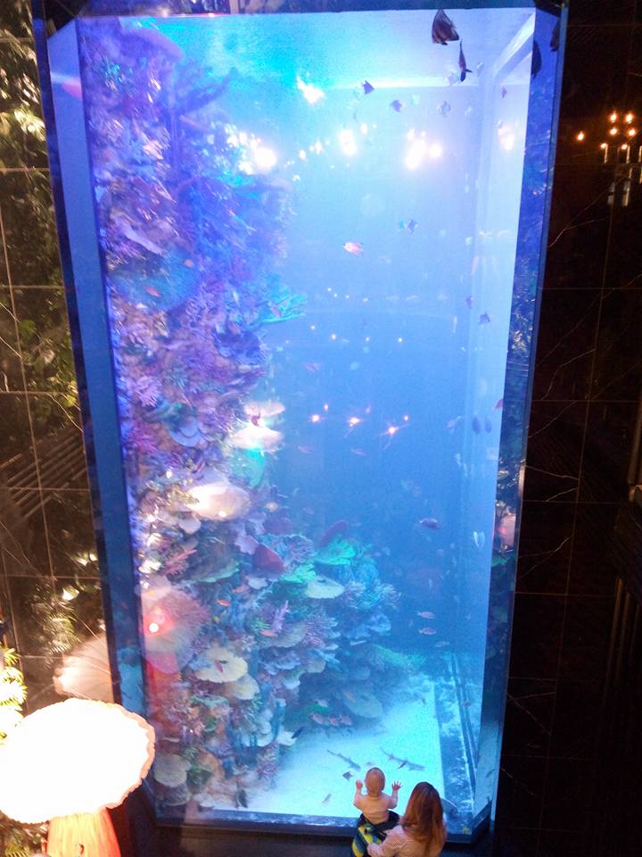 Восьмиметровий акваріум вражає відвідувачів