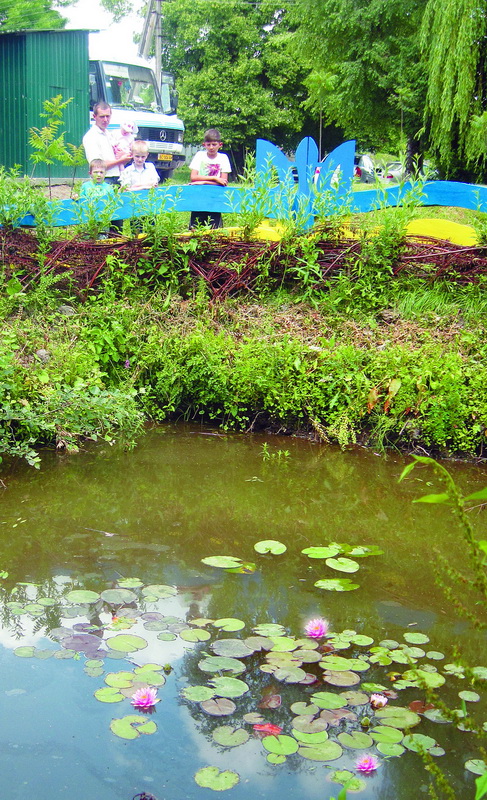 Фрагмент ставочка з водяними ліліями у сквері Героїв Небесної сотні.