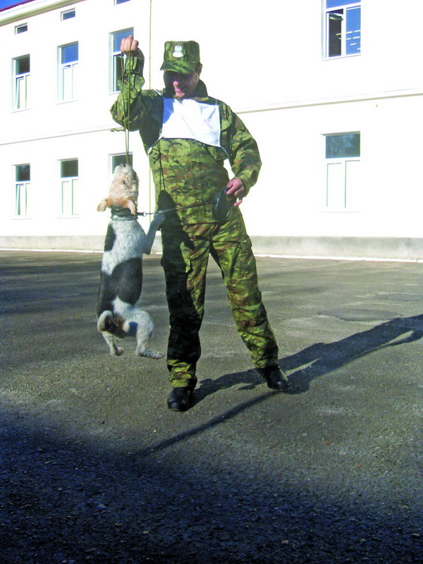Сержант Станіслав Джес із польського Тарнова зі своїм фокстер’єром Факсом. У завзятого песика годі забрати м’ячик…