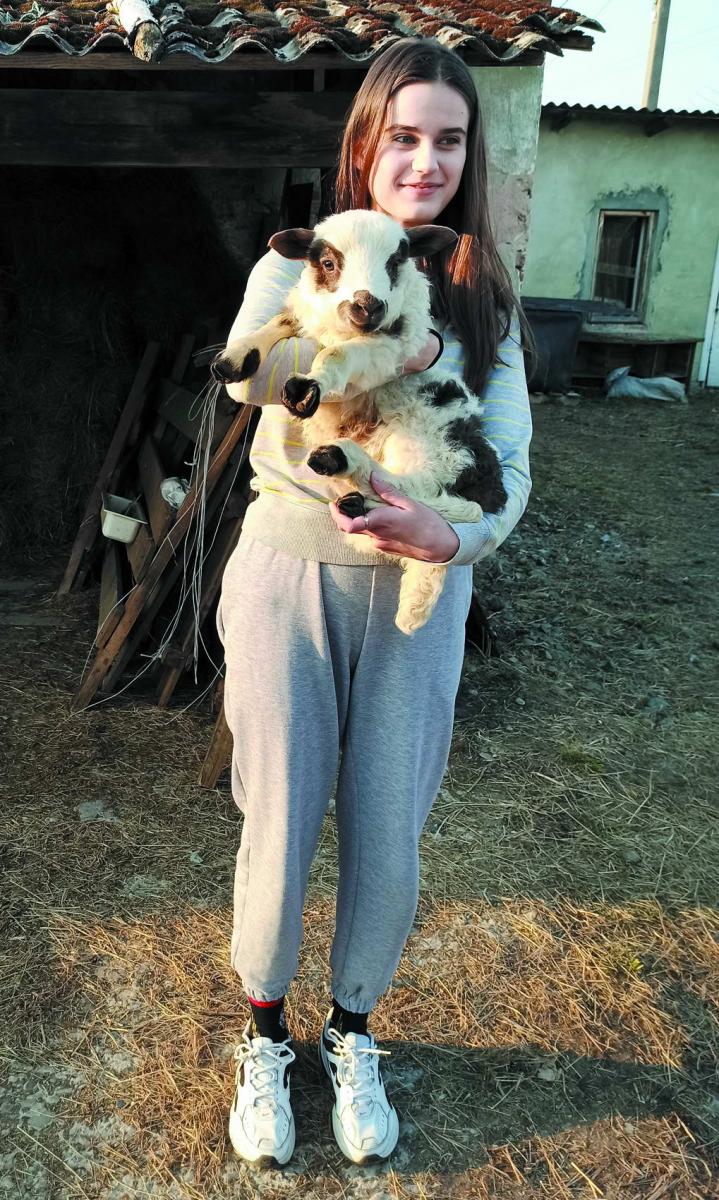 Дочка Дзвенислава любить овечок. Фото автора