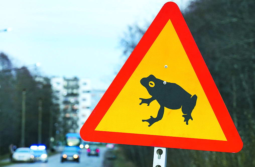 Ось такий заборонний знак з’явився на дорогах Естонії.