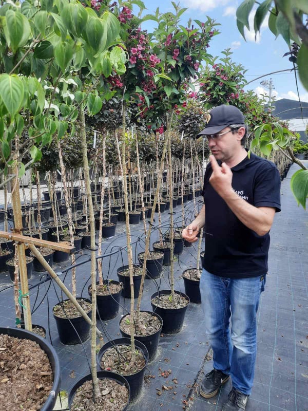 Назар Зінько розповідає відвідувачам про рослини. Фото автора