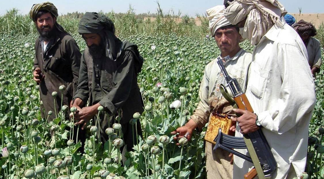 Бойовик "Талібану" (праворуч із автоматом) спостерігає за селянами, які збирають "урожай" на маковому полі в афганській провінції Гільменд. Фото AP (2008)