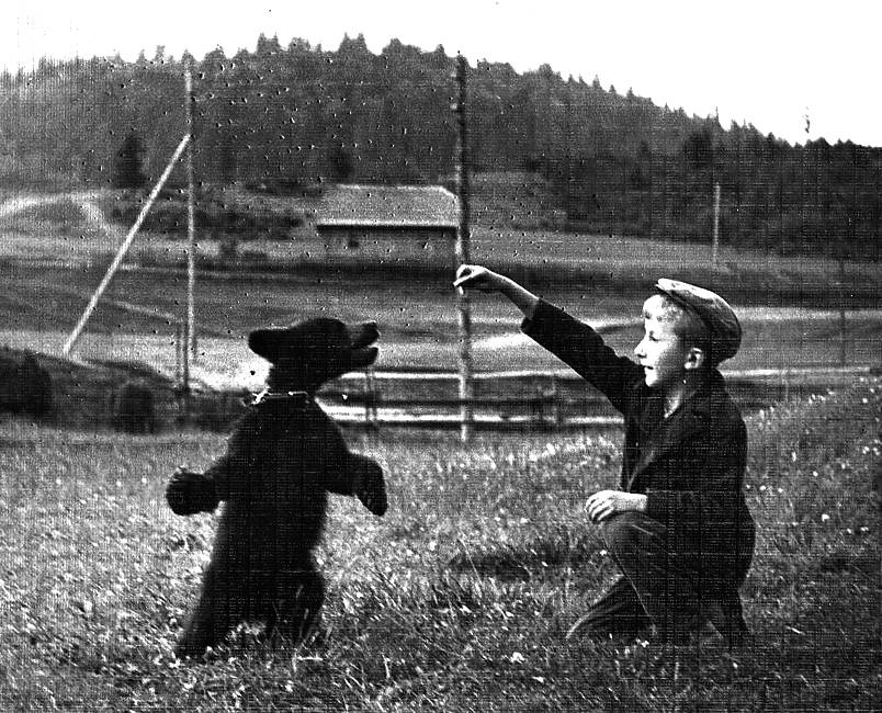 Ведмідь Михасько був улюбленцем усього села... Фото з архіву родини Сандурських