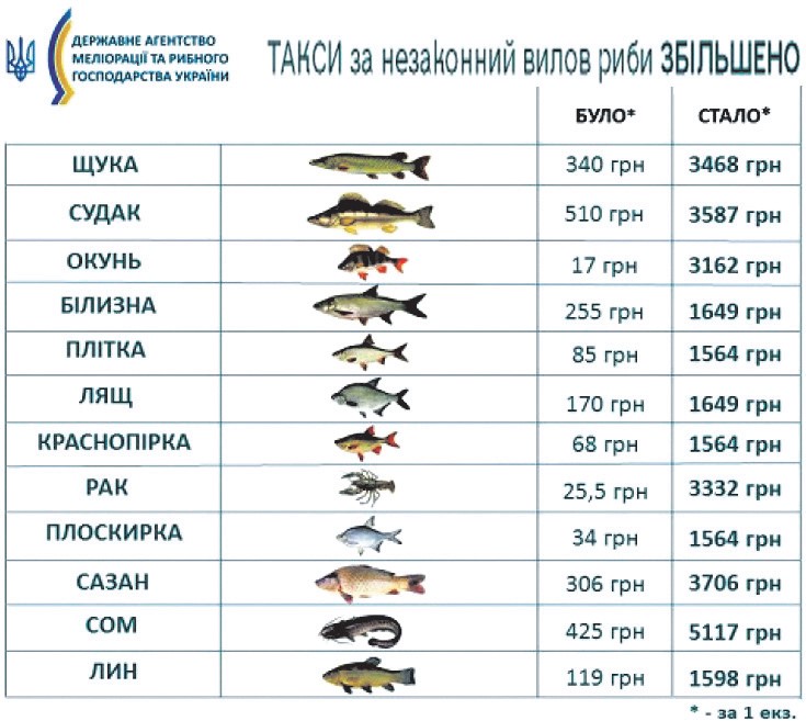Для наочності порівняння сум відшкодування на основні види риб до набуття чинності цих змін і після скористаймося інфографікою державного агентства меліорації та рибного господарства України «Такси за незаконний вилов риби збільшено»