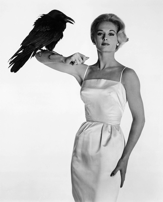 Тіппі Гедрен позує з вороном на зйомках фільма "Птахи" Альфреда Хічкока (1963 рік). Фото Vogue.ua
