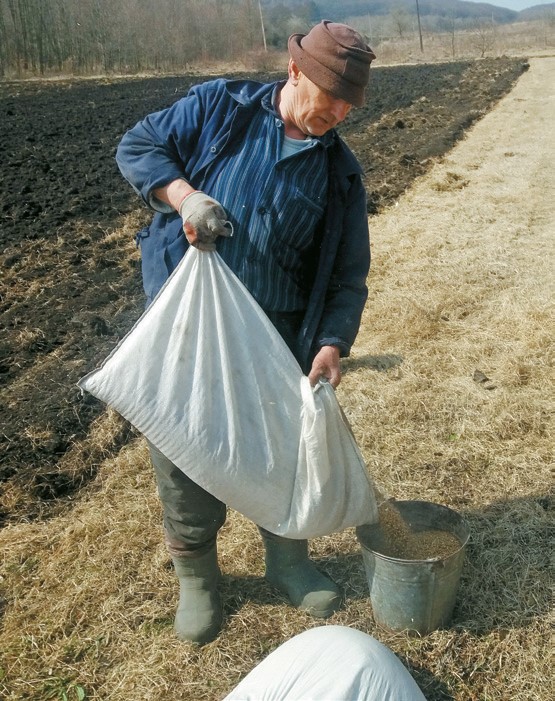 Вирощеного власноруч зерна вистачить для себе і ще для когось, – каже пенсіонер Степан Швидків. Фото автора