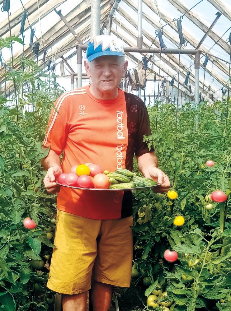Завдяки дбайливому догляду у Степана Босовича виростає хороша городина.