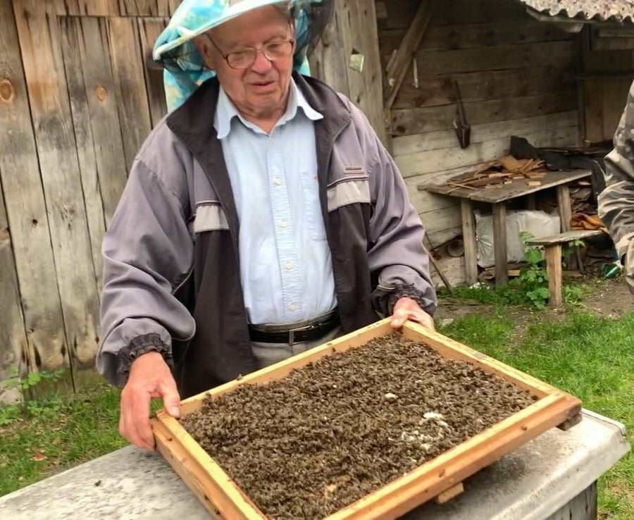 Найбільше, 280 бджолосімей, загинуло у пенсіонера Павла Бутинського.