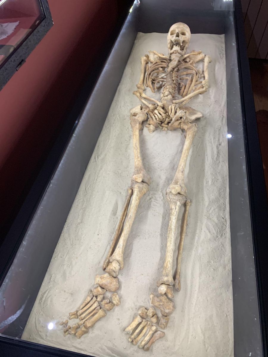 Це скелет чоловіка, який знайшли на прихованому цвинтарі в дворі фортеці. Він був в парі зі своєю супутницею. Скелет дами відвезли в музей Києва.