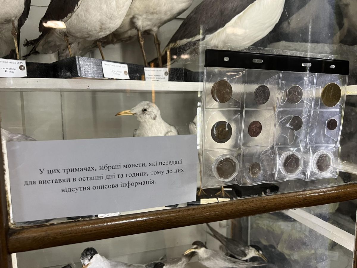 Частину монет принесли на виставку львів'яни