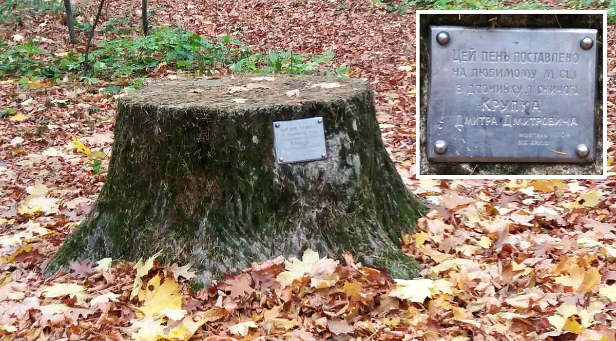 Цей пам’ятник-пеньок з бетону друзі поставили на згадку про великого патріота лісу Дмитра Крупка. Фото Ігоря Шуха