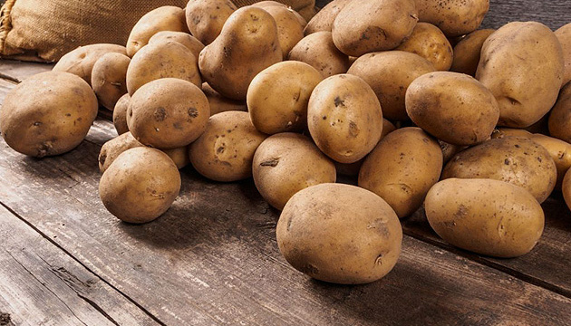 Картопля. Фото: Укрінформ