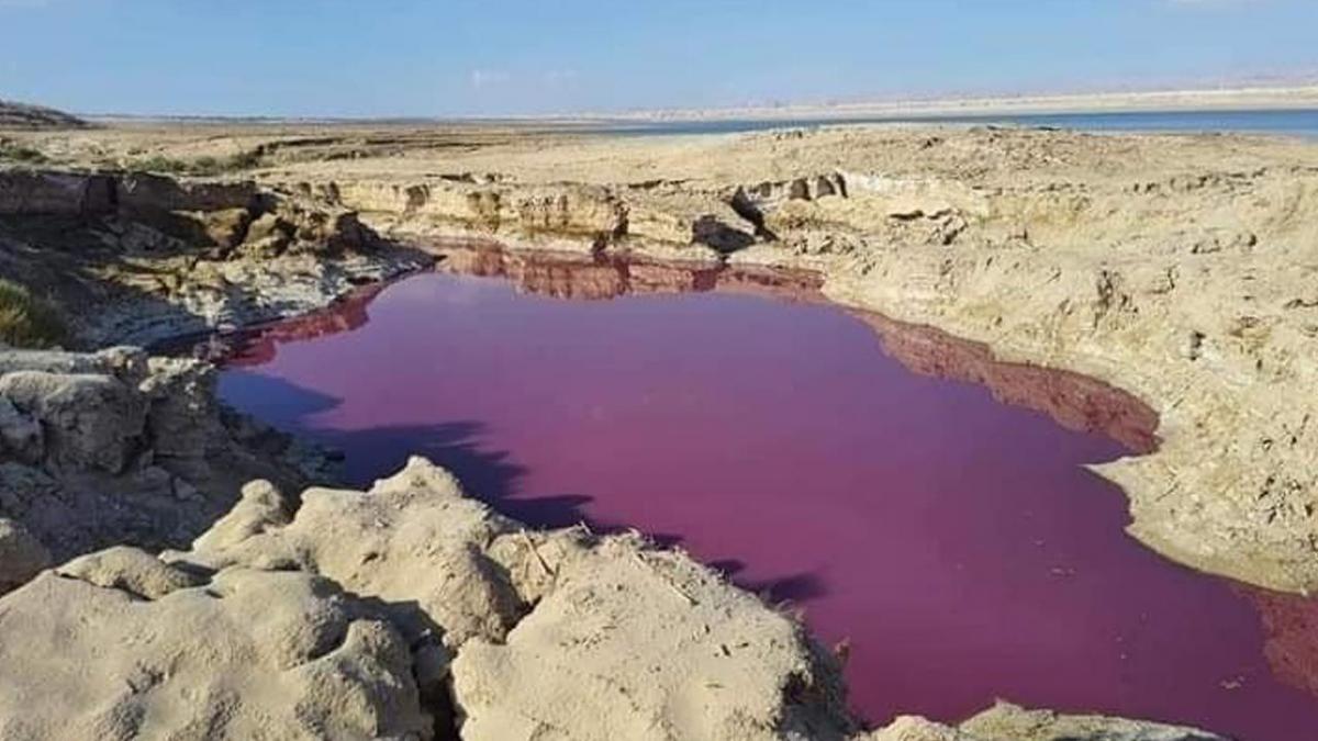 Чому саме вода у Мертвому морі раптом змінила колір? Відповіді на це запитання науковці наразі не мають. Фото Facebook.