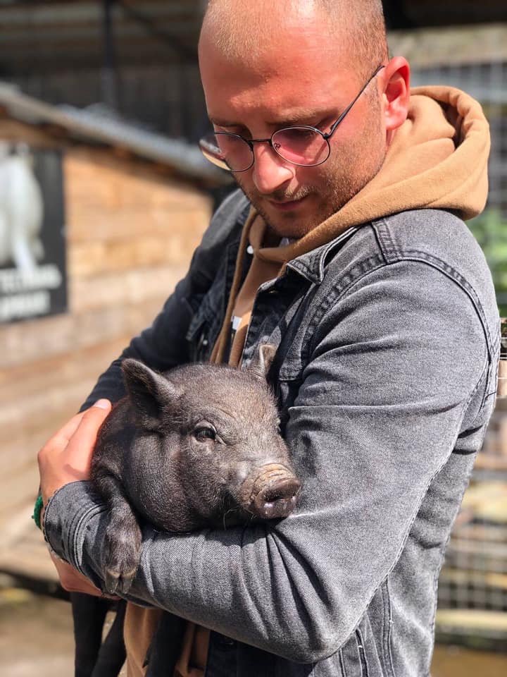 Усі, хто прийде на благодійний ярмарок у Домівку Врятованих Тварин, зможуть побачити ось цю в’єтнамську свинку, яку хтось загубив у центрі Львова.