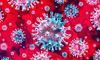 В Україні зафіксували перший випадок зараження новим підвидом штаму коронавірусу «Кракен»
