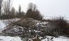На Київщині двоє чоловіків незаконно зрубали 348 дерев