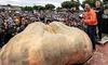 Гарбуз-рекордсмен: вага овоча становить 1246 кг