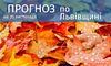 Погода у Львівській області на 20 листопада 2023 року