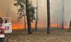 На Харківщині через ворожі обстріли горять 3000 га лісу