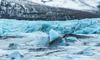 Навколо Антарктиди зафіксували найнижчий рівень льоду за 45 років
