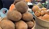 Навесні картопля може коштувати 35 гривень, її возитимуть з Польщі та Єгипту