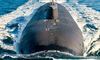 росія може випробувати ядерну суперторпеду, — розвідка НАТО