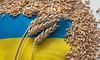 Україна розпочинає процес подання позову до суду проти Угорщини, Польщі та Словаччини через зерно