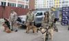 Нідерланди передали Україні собак-саперів