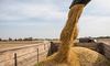 Україна може припинити роботу «зернового коридору»