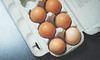 Наступного року вартість яєць в Україні може зрости до максимальної, — Bloomberg