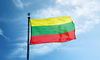Сили швидкого реагування Литви- у стані підвищеної готовності