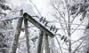 На Львівщині 30 населених пунктів повністю без світла через снігопади