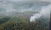 Майже двісті осіб залучили до ліквідації лісових пожеж на Закарпатті