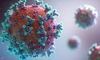 МОЗ розповіло, чи є в Україні новий штам коронавірусу