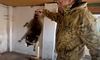росіяни викрали єнота із Херсонського зоопарку: реакція соцмереж