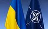 Ані Байден, ані Трамп не бачать Україну в НАТО — Зеленський