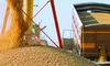 США нададуть майже 20 мільйонів доларів на програму Grain from Ukraine