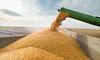 Україна змінила правила експорту зерна