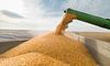 ЄС запровадить мита на імпорт російського зерна