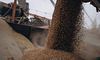 Попри заяви росії зернова ініціатива повноцінно не працює, — Reuters