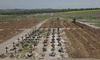 ВВС: біля Маріуполя знайдено понад 1500 нових могил