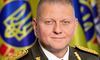 Українці вітають генерала Залужного з його 50-річчям