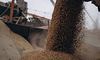 Міноборони рф заявило про поновлення «зернових угод»