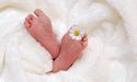 Маленькі «поспішайки»: у Львівському перинатальному центрі виходили понад 450 передчасно народжених діток