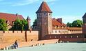 Кажани з усієї Польщі злітаються до Мальборкського замку