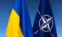 ОП: Україна наразі не робитиме кроків для вступу до НАТО
