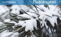Погода на 1 грудня 2023 року у Львівській області